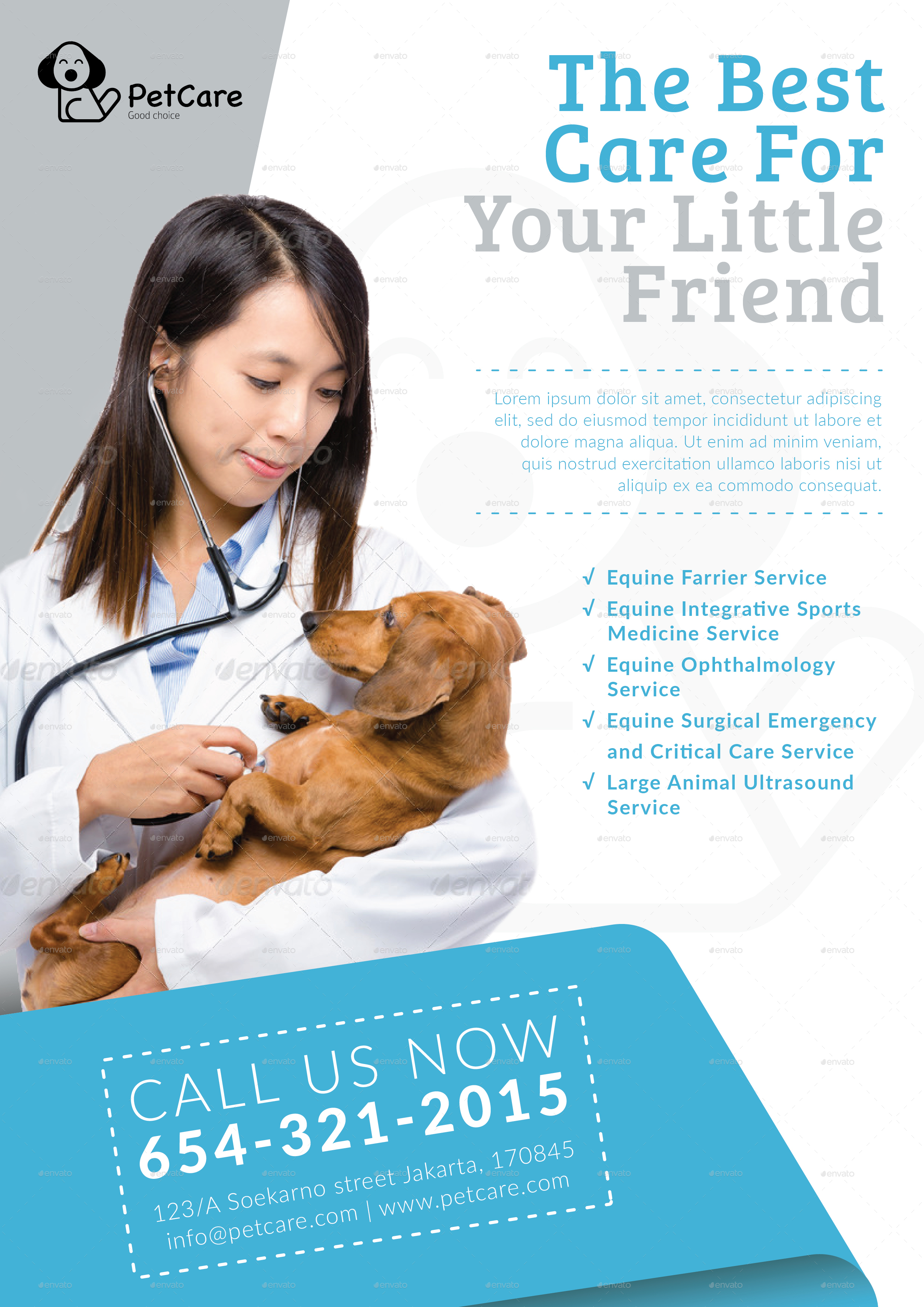 Bundle Flyer Pet Medical Care and Service Clinic by Benstudio73